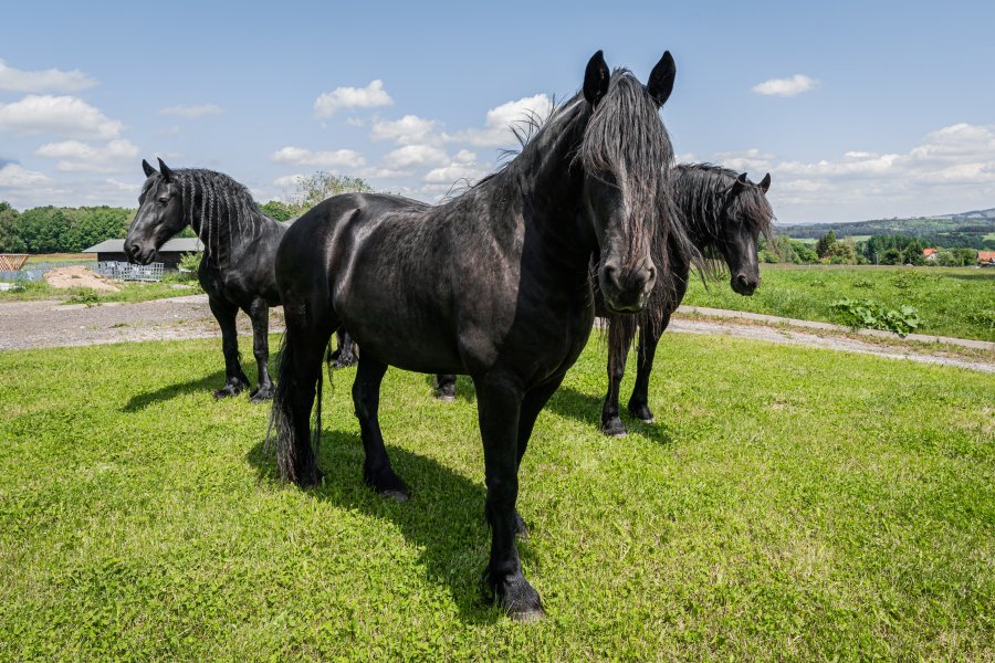 rodinný statek Chotyně