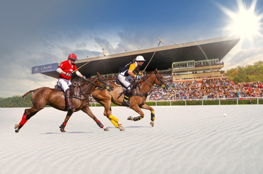 koňské pólo Praha