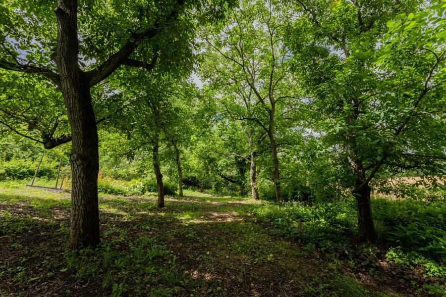 Záběr stavebního pozemku Praha 8 - Bohnice 