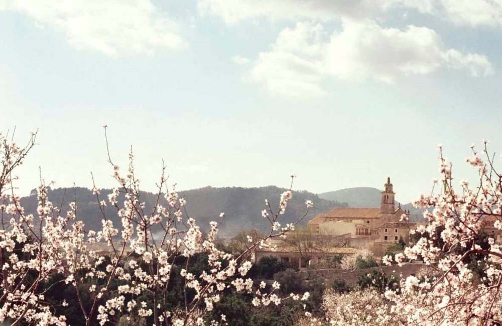 Seznamte se s Andalusií – krajinou únorového jara