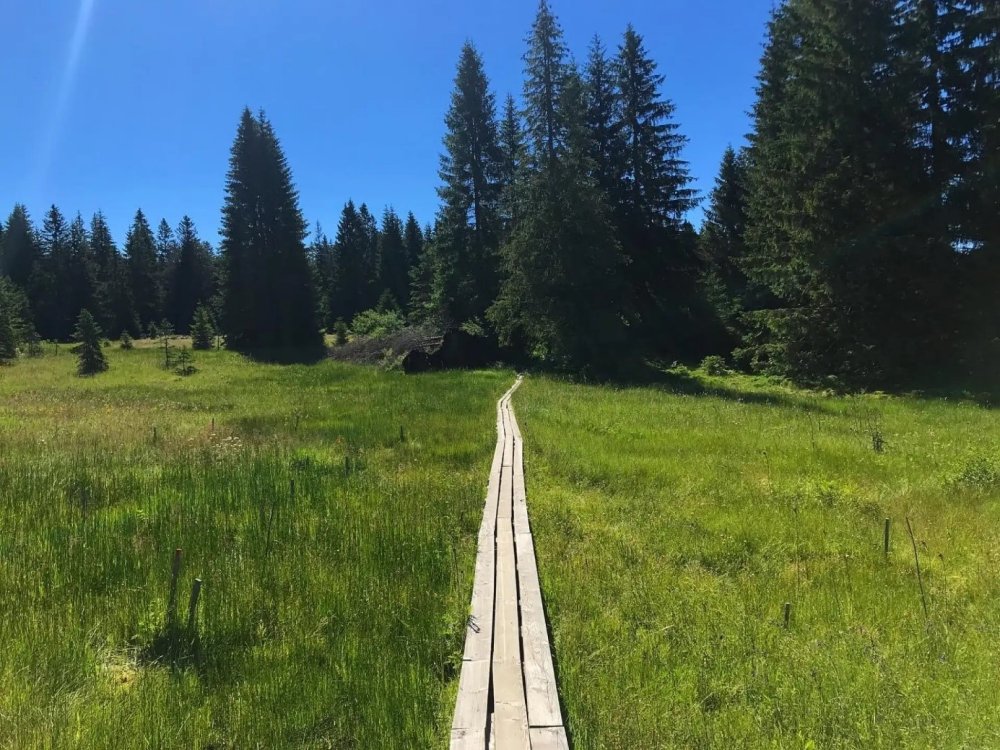 Proč na Šumavu? Prozkoumejte kouzlo české přírody