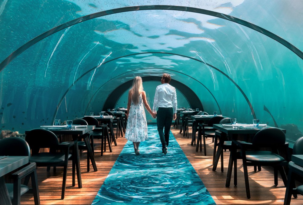 How about some underwater dining with the fish? Take a trip to Norway!