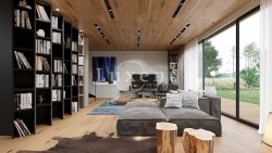 obyvaci pokoj s knihovnou