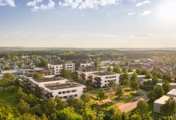 Nová Cihelna situace