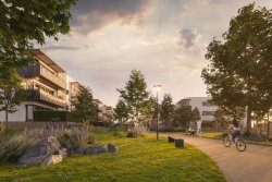 večerní park Cihelna