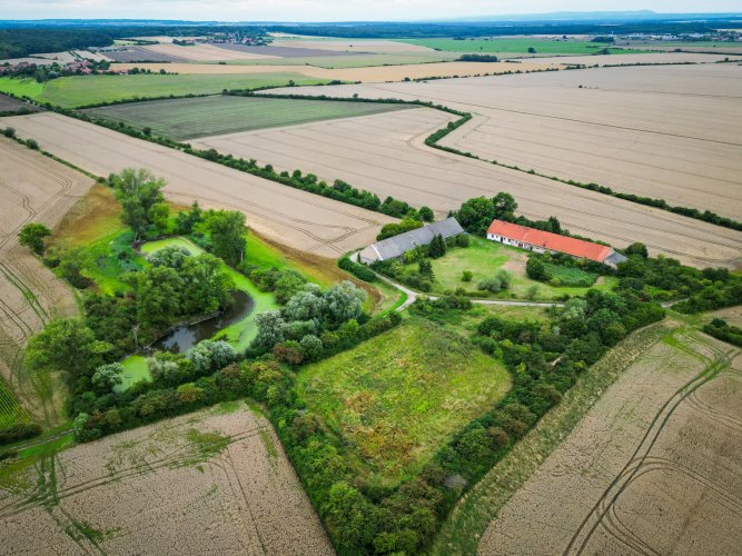 Sale of a farmstead with a pond and farm buildings, 4.3 ha – Vlkov nad Lesy, Nymburk district