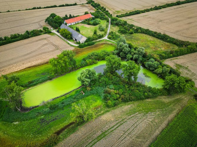 Sale of a farmstead with a pond and farm buildings, 4.3 ha – Vlkov nad Lesy, Nymburk district
